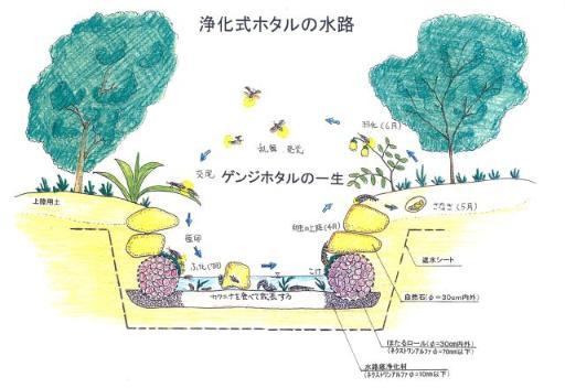 ホタル計画書８ページへリンク