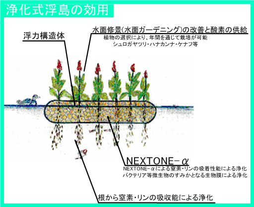 浄化式浮島の効用